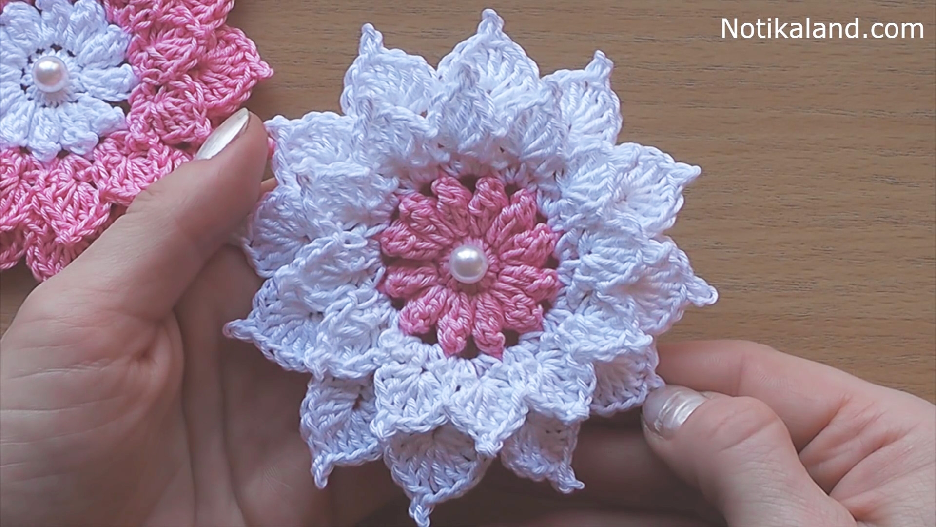 12 Petal Flower Template Best Flower Site