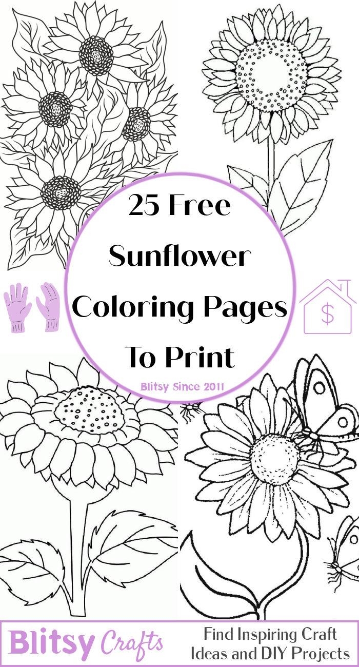 sunflower coloring pages free