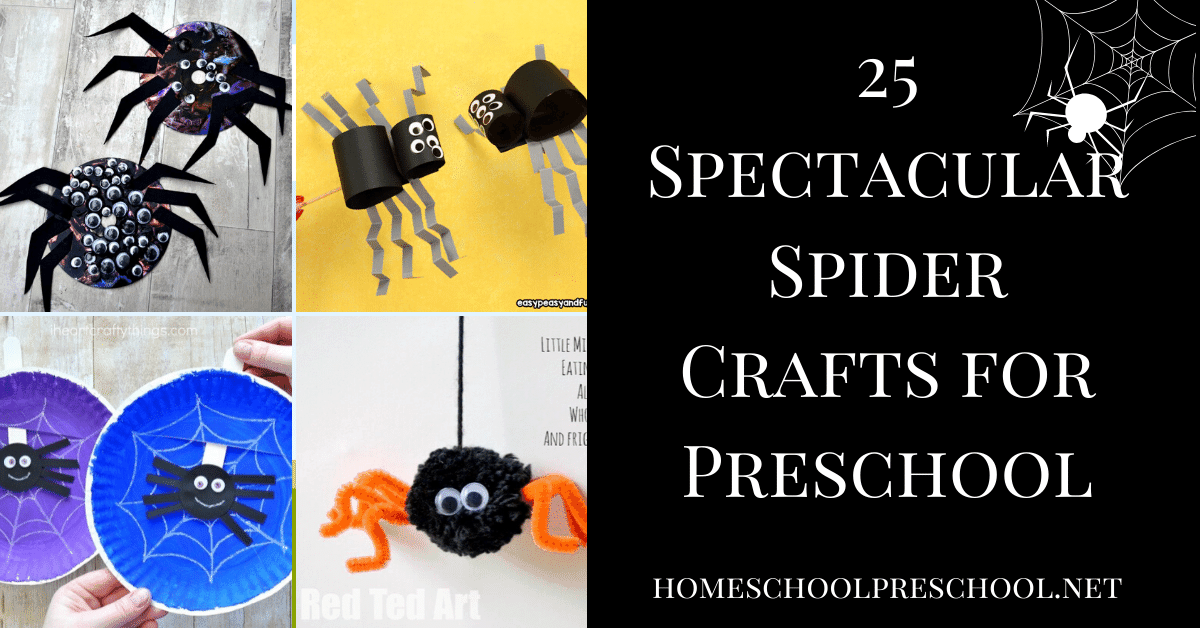 25 Spooky Spider Crafts For Preschoolers To Make