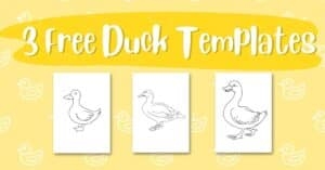 free duck printables