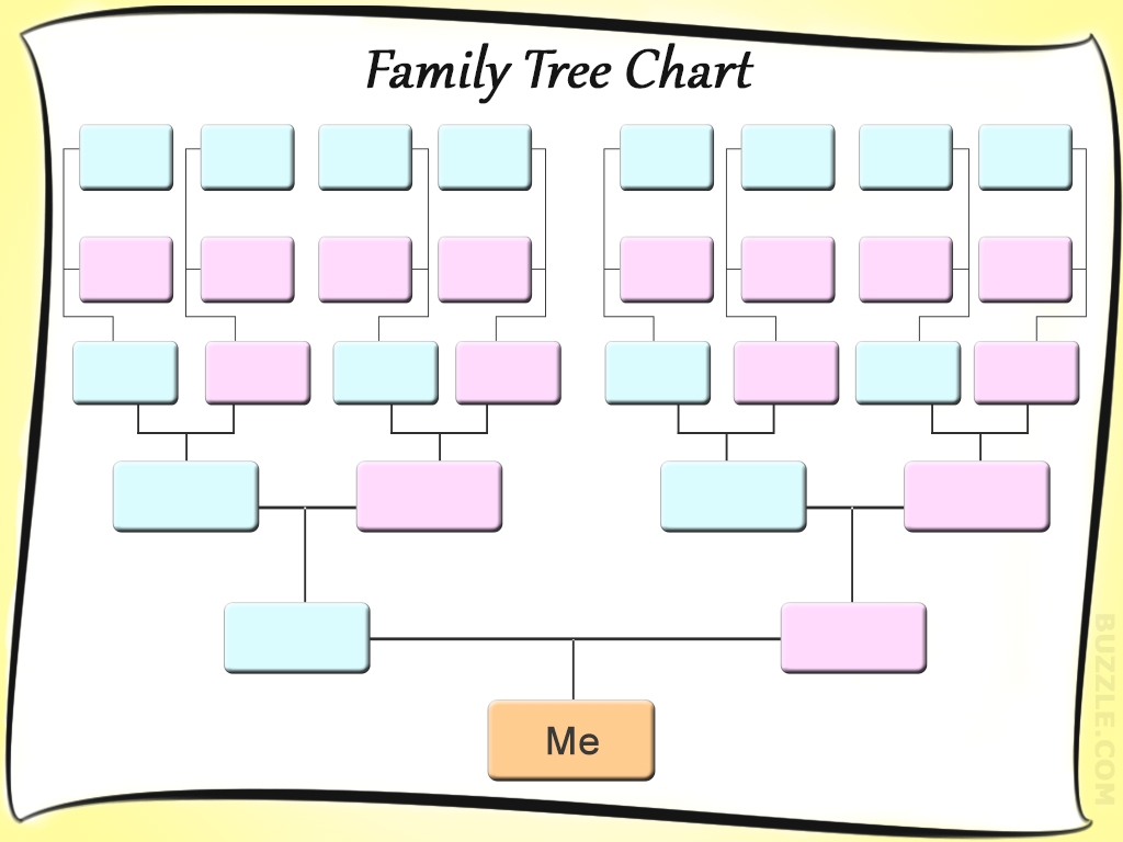 40 Blank Family Tree Chart Blank Family Tree Family T Vrogue co