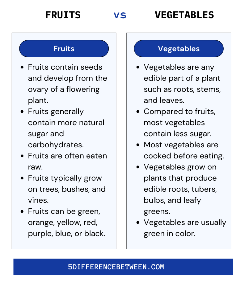 difference between fruits and vegetables worksheet