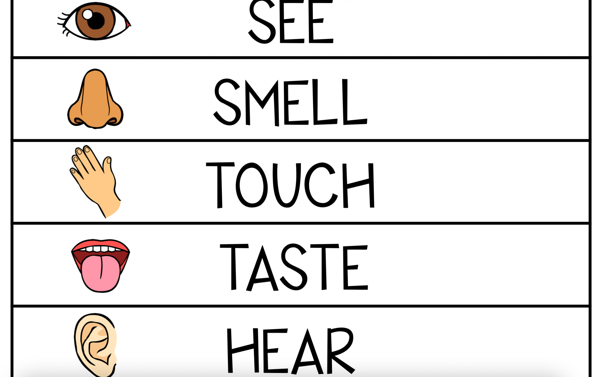 5 senses activities for toddlers printable