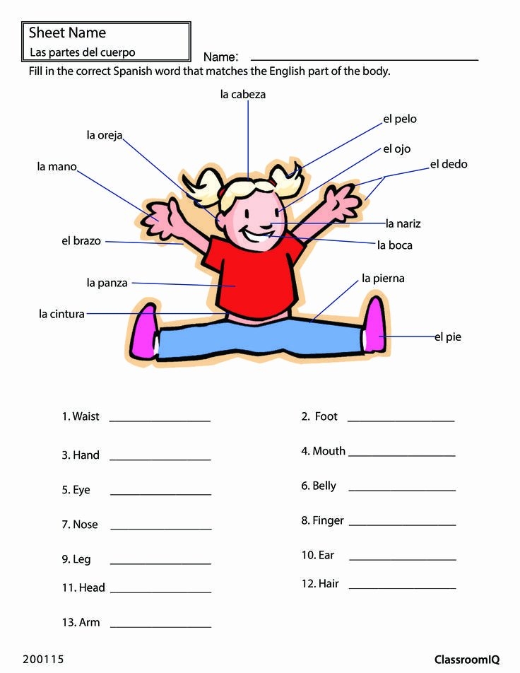 50 Body Parts In Spanish Worksheet Chessmuseum Template Library