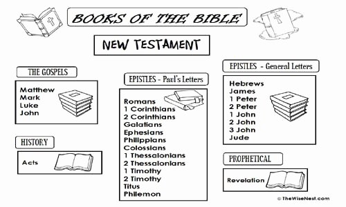 50 Books Of The Bible Worksheet Chessmuseum Template Library