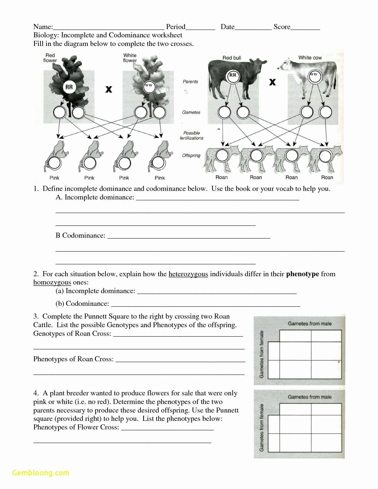 50 Codominance Worksheet Blood Types