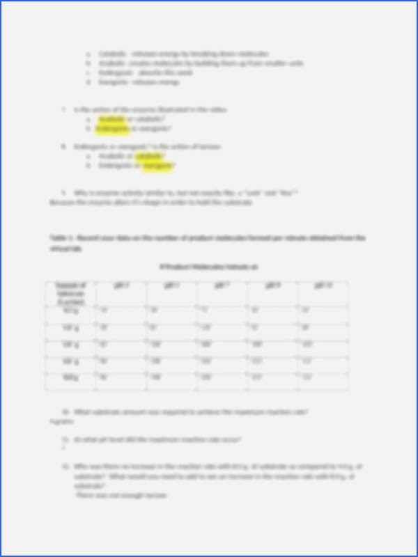 enzyme worksheet answers