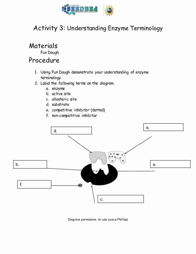 50 Enzyme Reactions Worksheet Answers