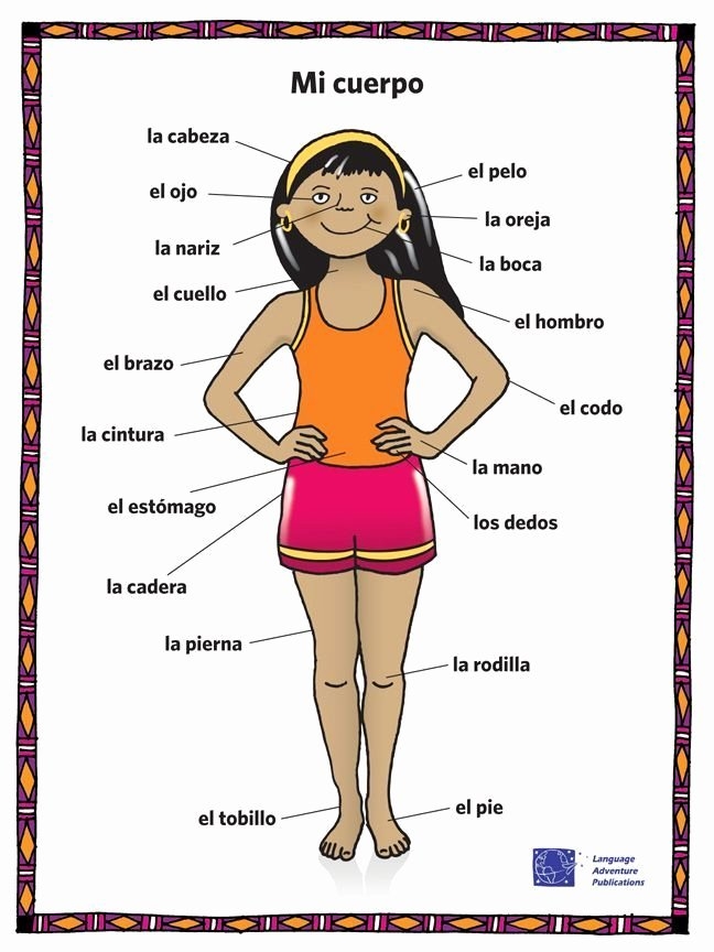 50 Spanish Body Parts Worksheet Chessmuseum Template Library