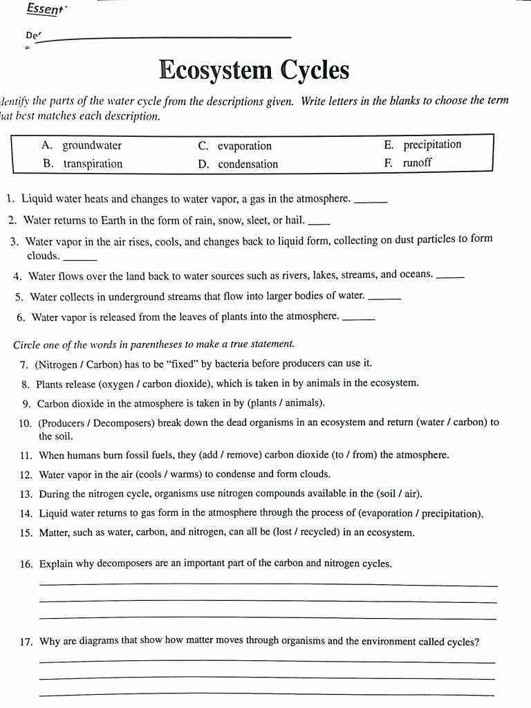 50 The Carbon Cycle Worksheet Answers Chessmuseum Template Library