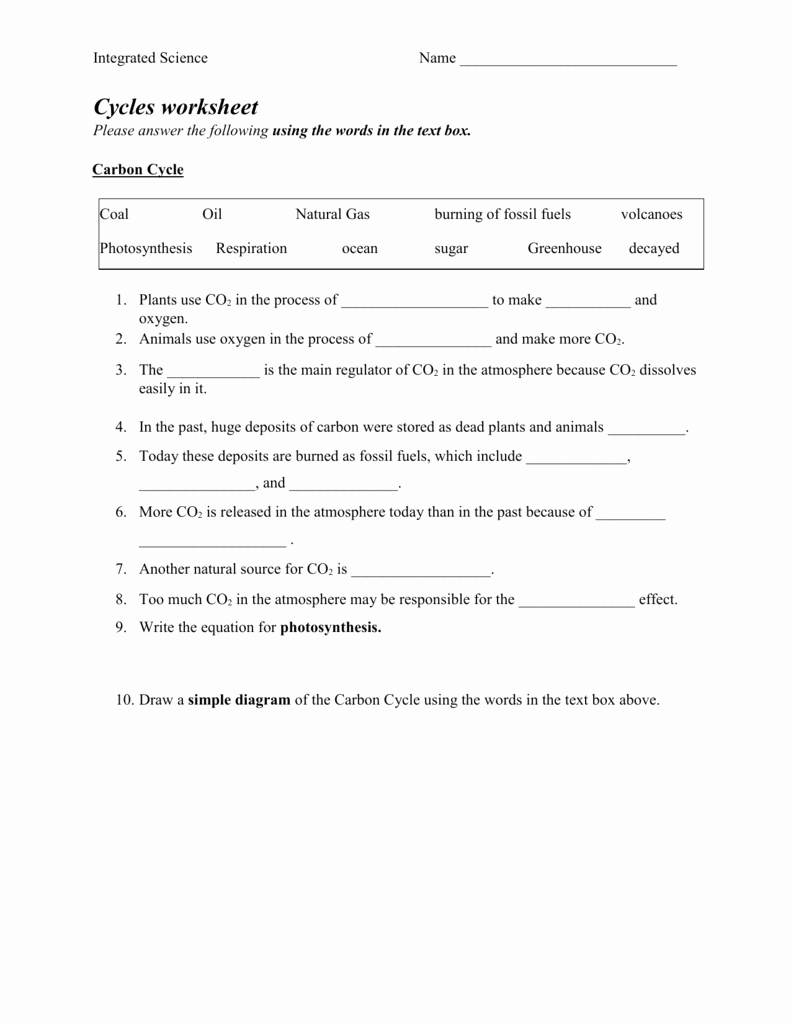 the carbon cycle worksheet answers