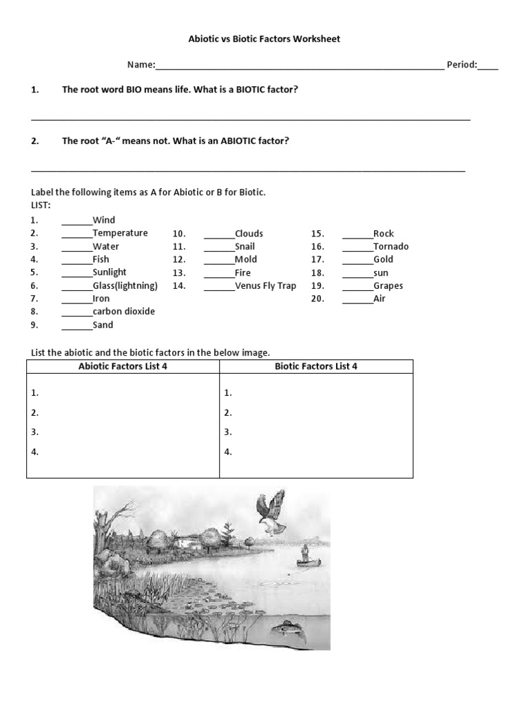 Abiotic vs Biotic Factors Handout PDF PDF Ecosystem Systems