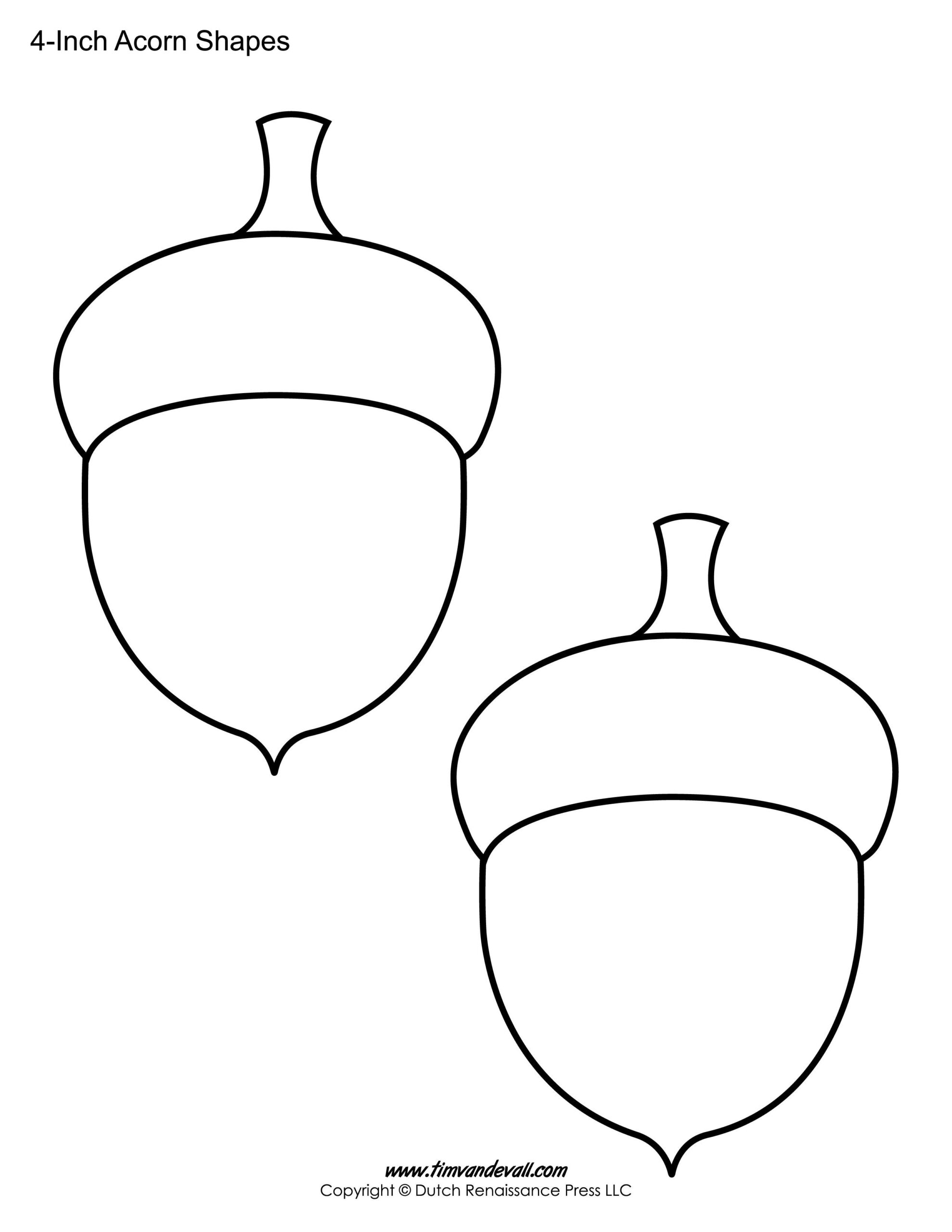 acorn printable template