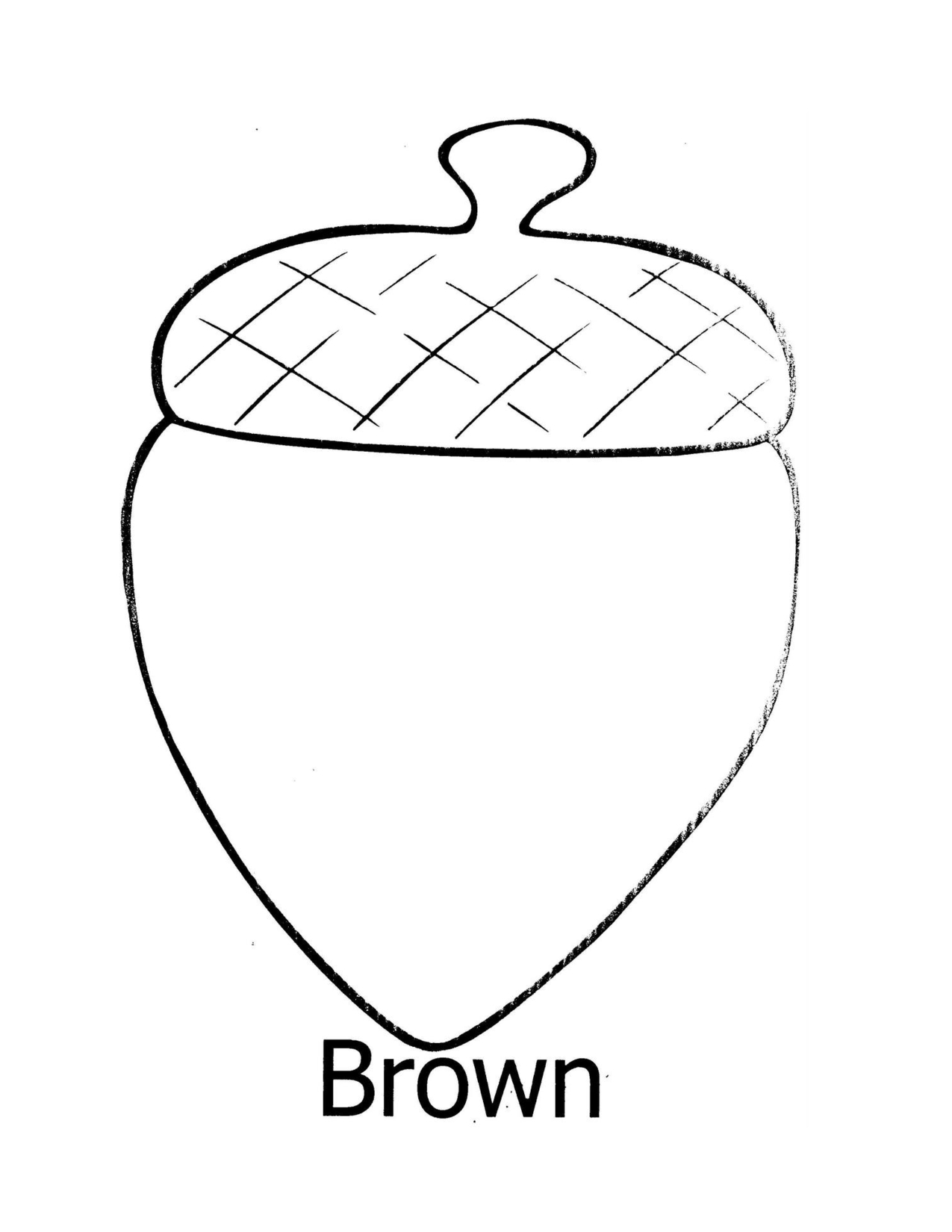 Acorn Template Printable Tyjsergdhj2