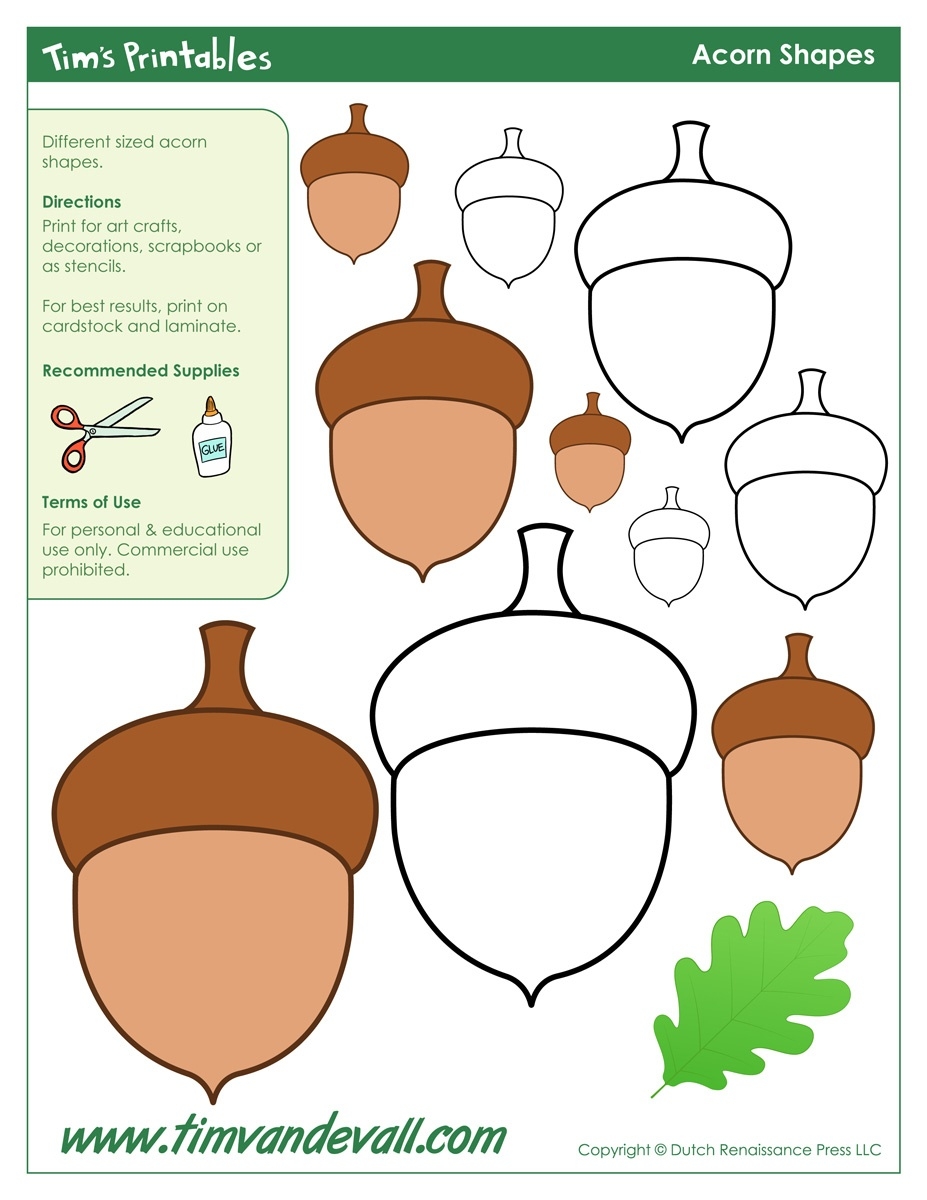 Acorn Templates Printable Acorn Shapes Blank Shape Pdfs Acorn
