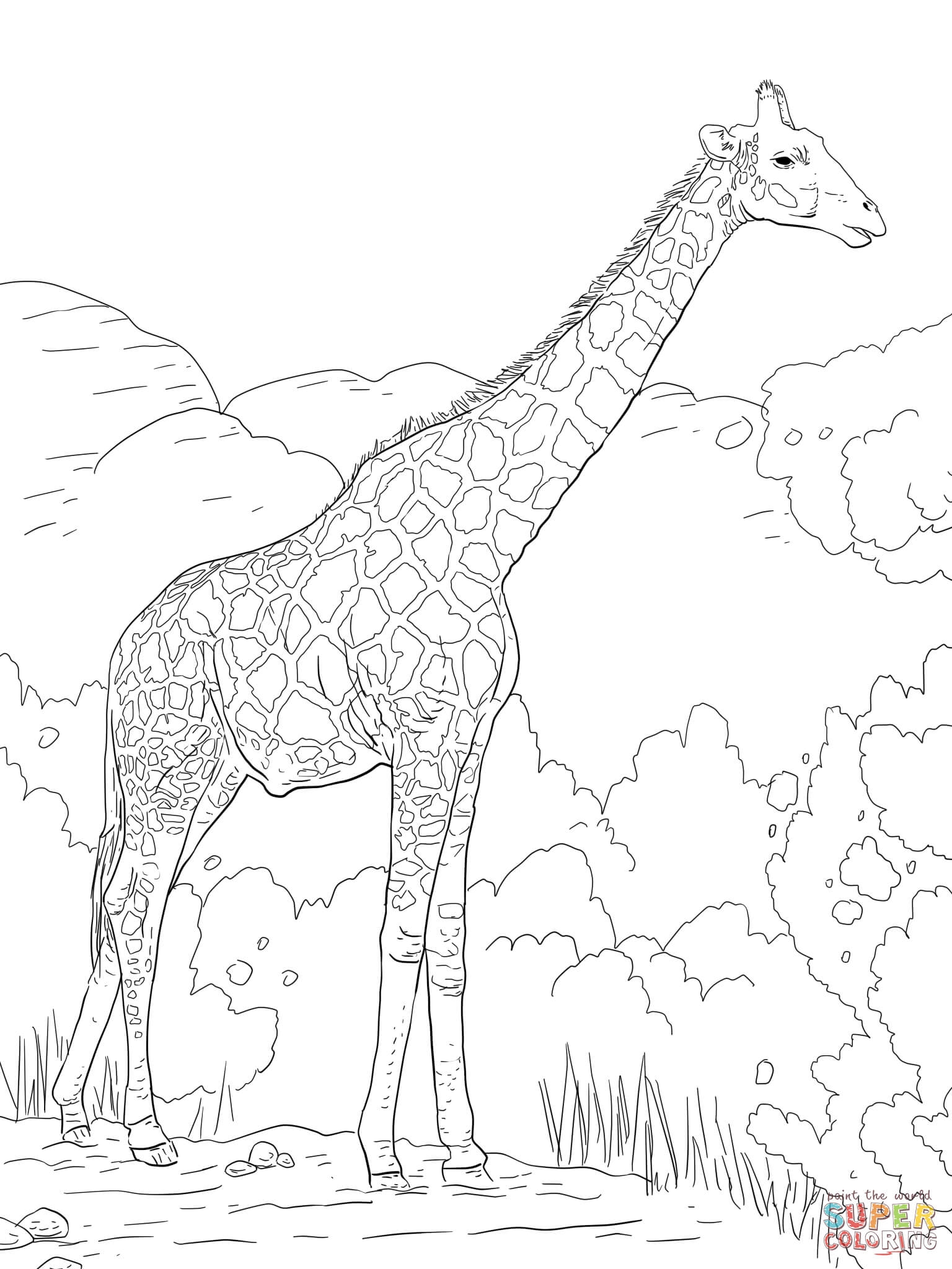 Adult Coloring Pages Safari Coloring Home