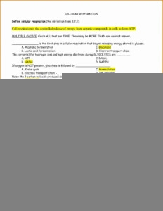 amoeba sisters photosynthesis worksheet