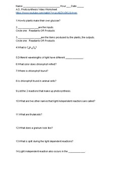Amoeba Sisters Photosynthesis Video Worksheet By Jenny Hoffmann TpT