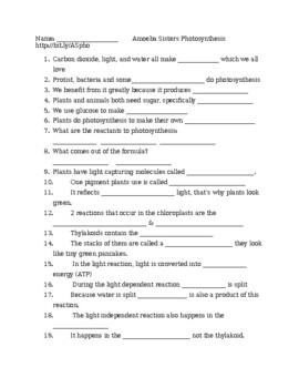 Amoeba Sisters Photosynthesis Worksheet By Quick Science Stuff TPT