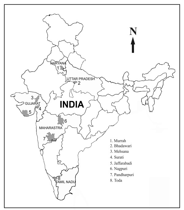 ancient india map worksheet