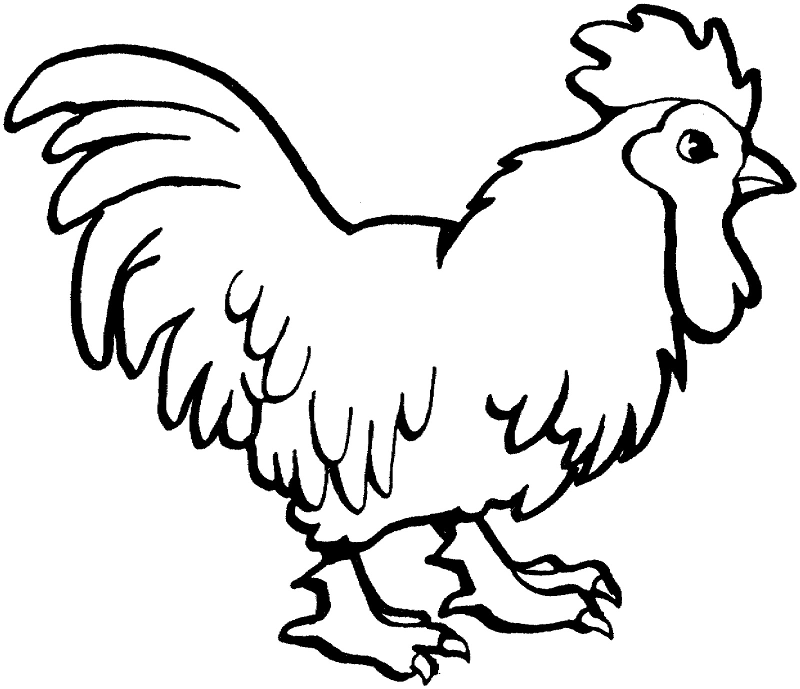 Animal Coloring Sheets Chickens Coloring Pages