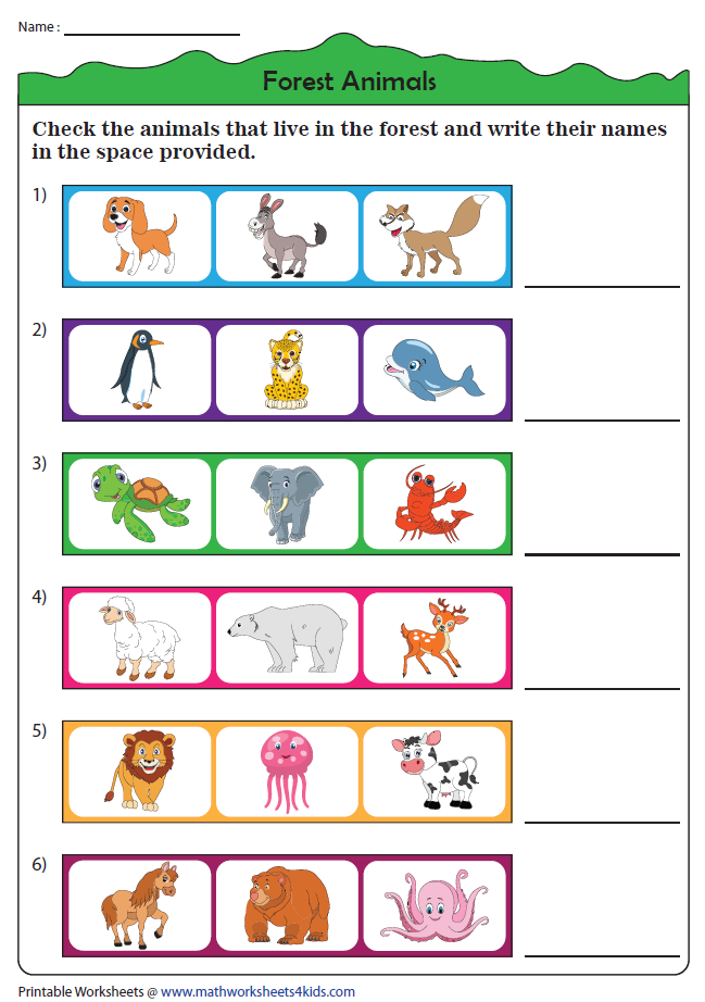 Animal Habitats Worksheets Animal Habitats Habitats Animals