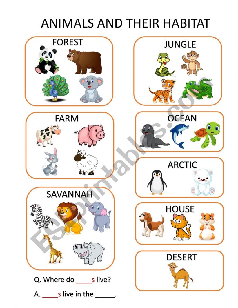 Animals And Their Habitats Worksheet Worksheet Live Worksheets 
