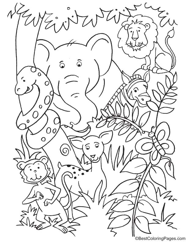 Animals In Jungle Coloring Page Jungle Coloring Pages Zoo 49 OFF