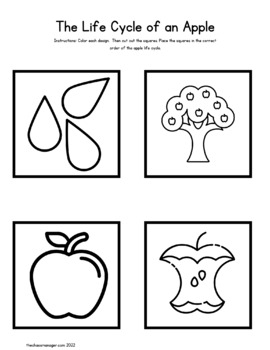 Apple Life Cycle Read Trace And Connect Worksheet Day 2 Of 