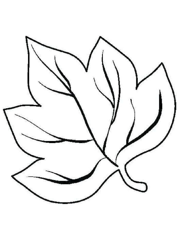 Autumn Coloring Pages Free Printable PDF 