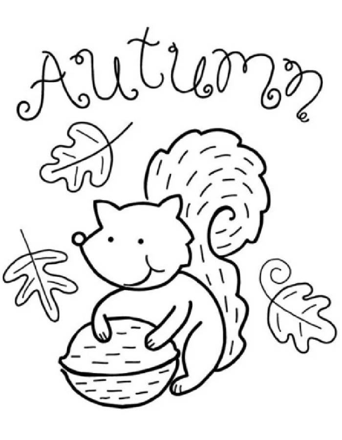 Autumn Coloring Pages Free Printable PDF 