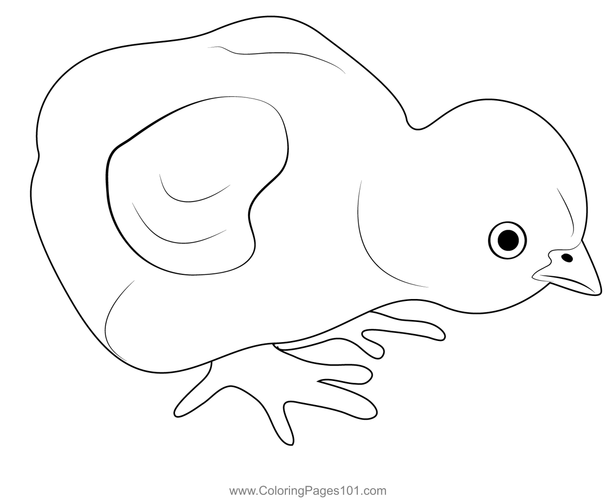 free coloring pages chickens