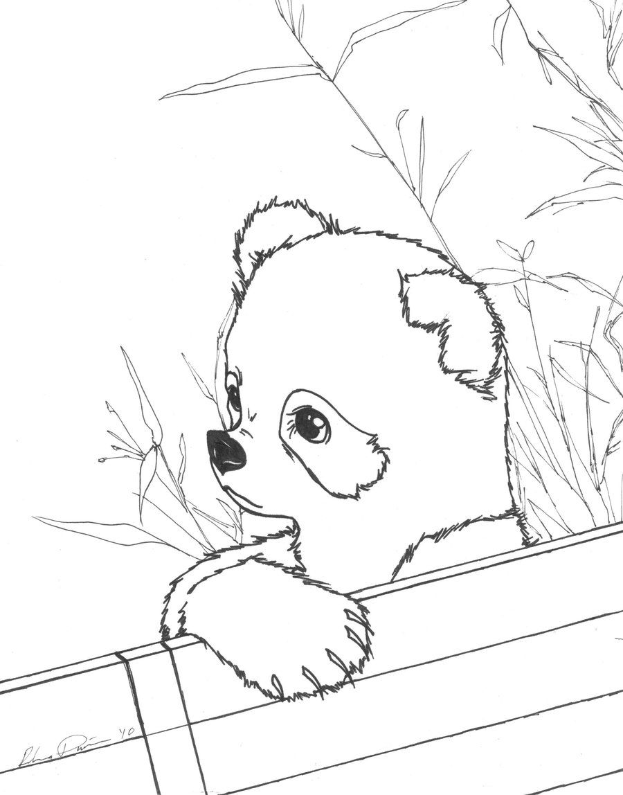 Baby Pandas Coloring Pages Coloring Home