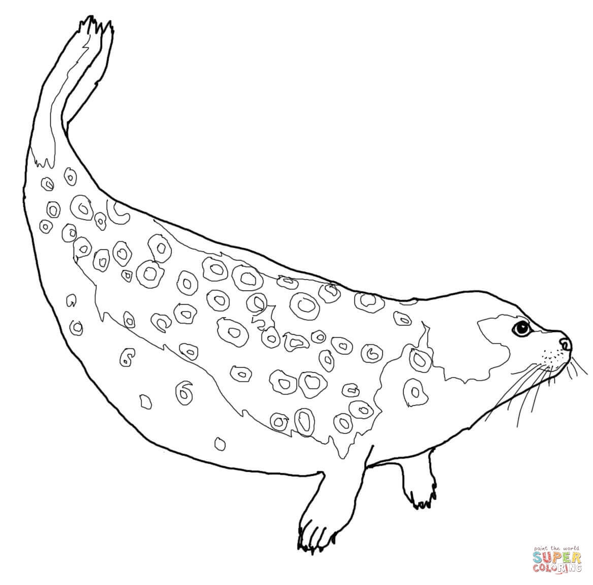 Seal Coloring Pages