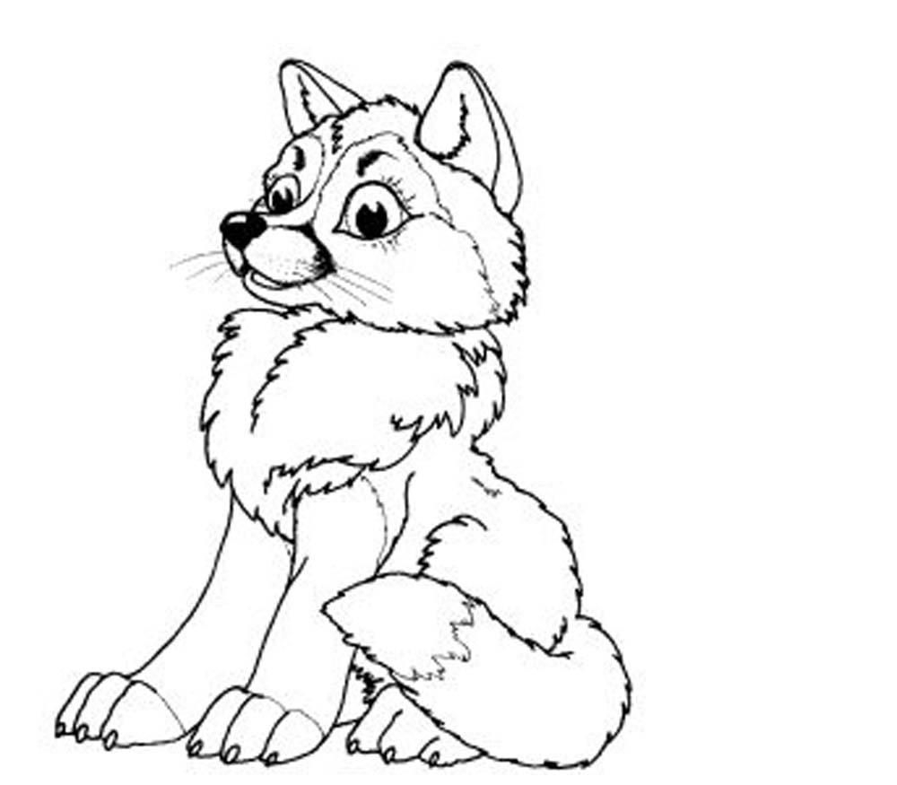 Baby Wolves Coloring Pages Coloring Home