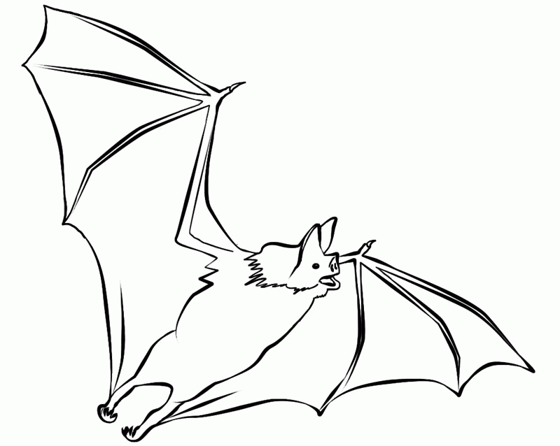 bat templates for kids