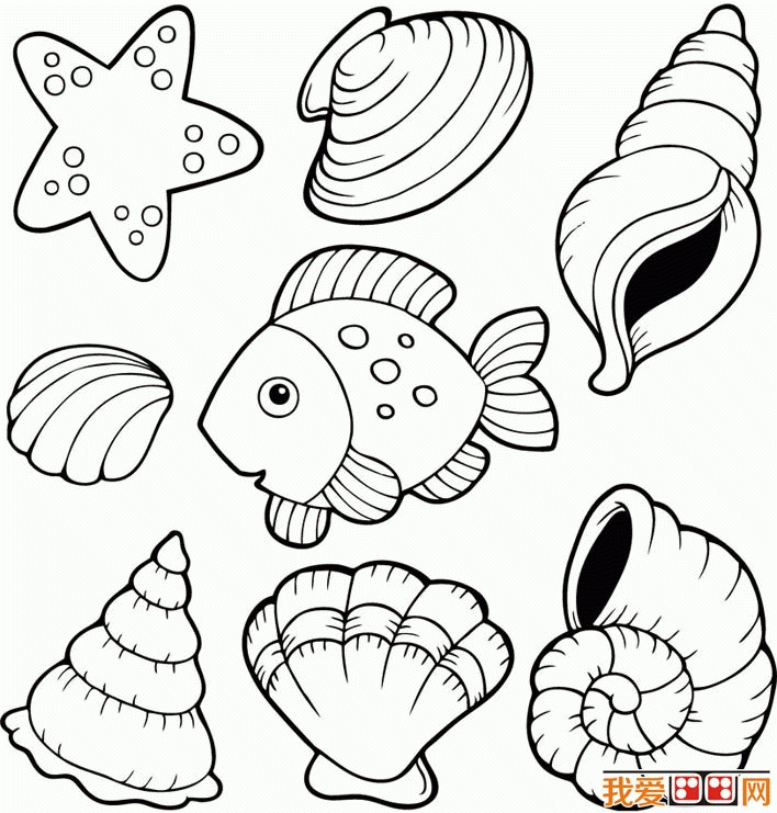 Sea Shells Coloring Pages