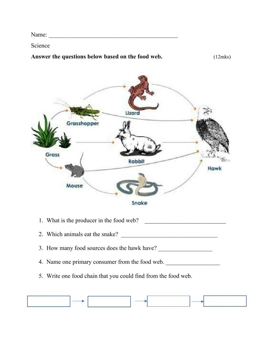 Bill Nye Food Web Worksheet Food Chain Worksheet Food Web Worksheet