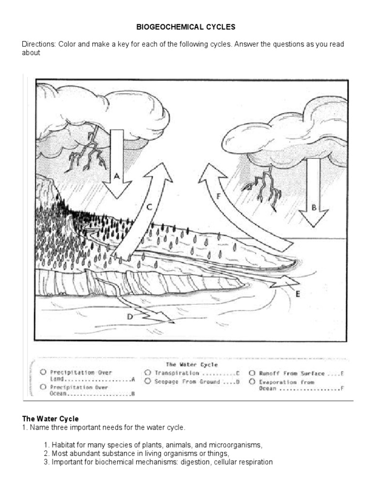 BIOGEOCHEMICAL CYCLES Activity Answer PDF Phosphorus 
