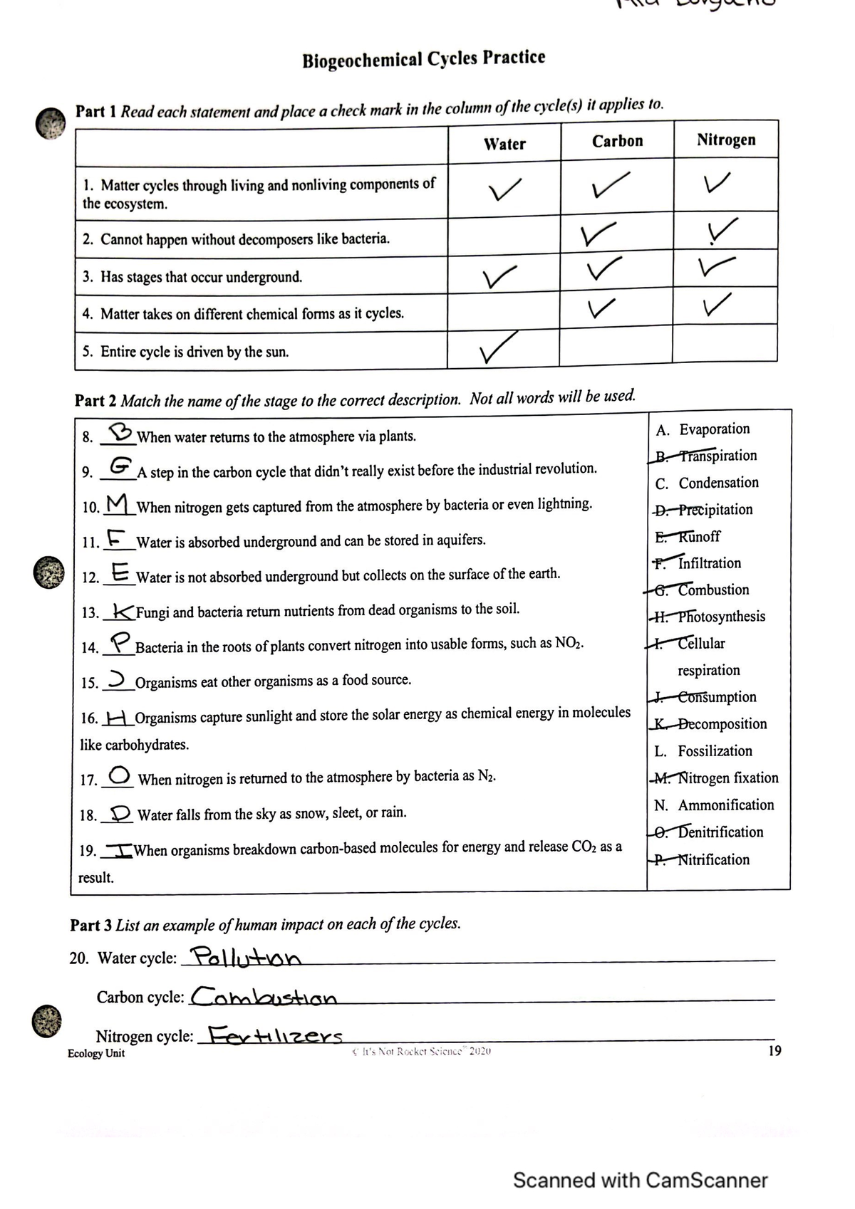 Biogeochemical Cycles Studocu Worksheets Library