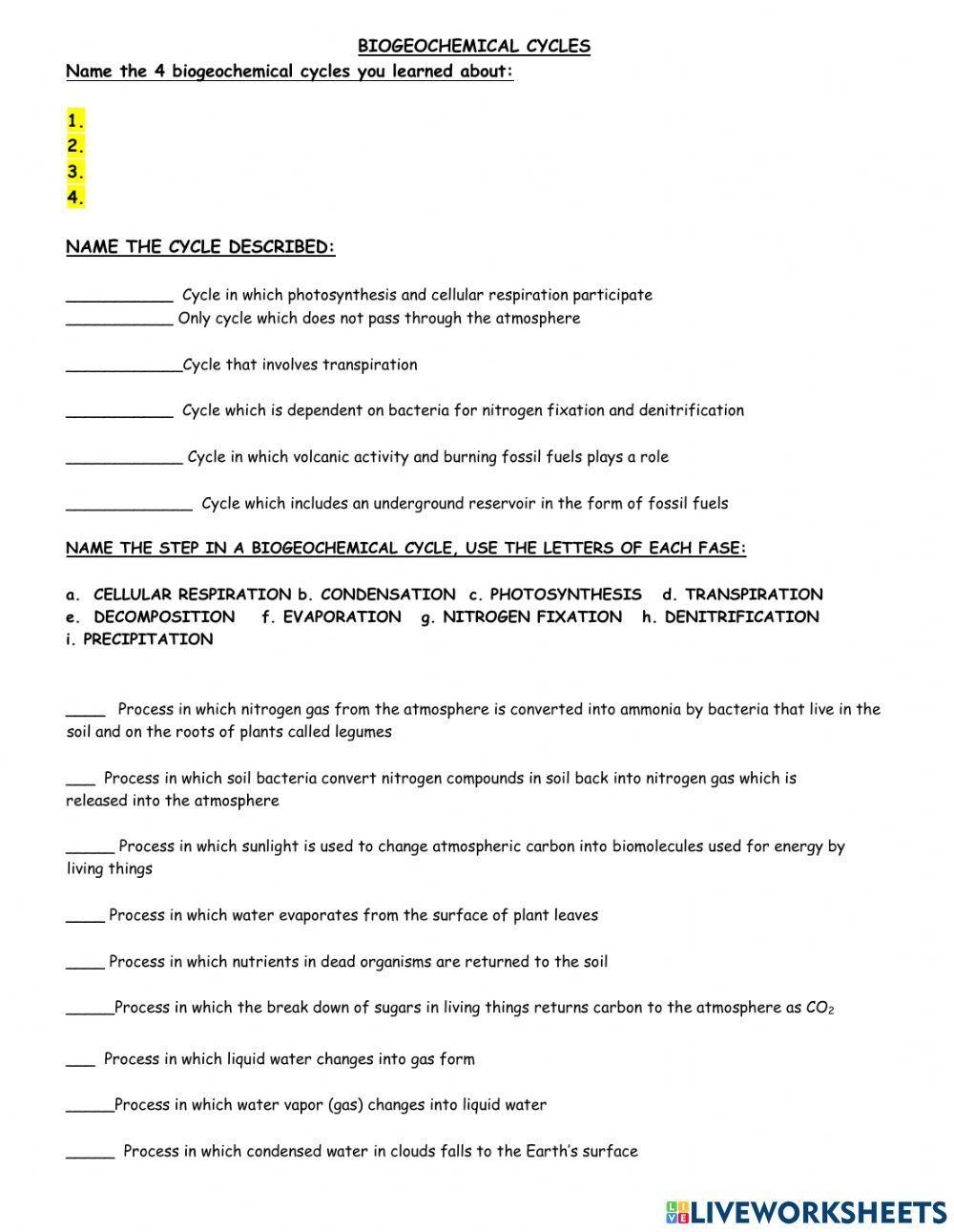 biogeochemical cycles worksheet