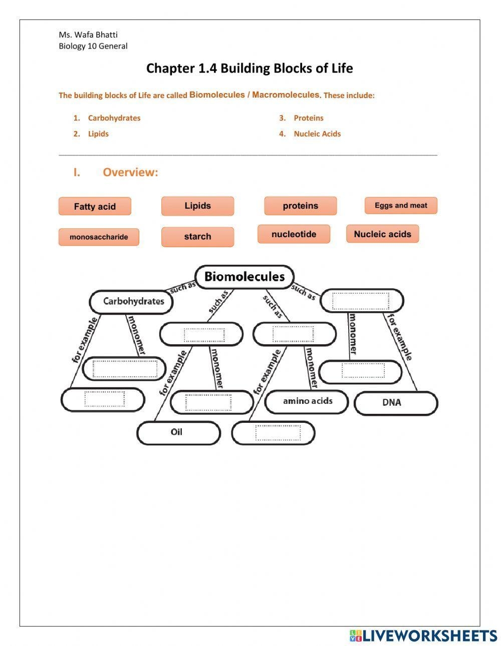 Biomolecule Worksheet Practice PDF Biomolecules Enzyme