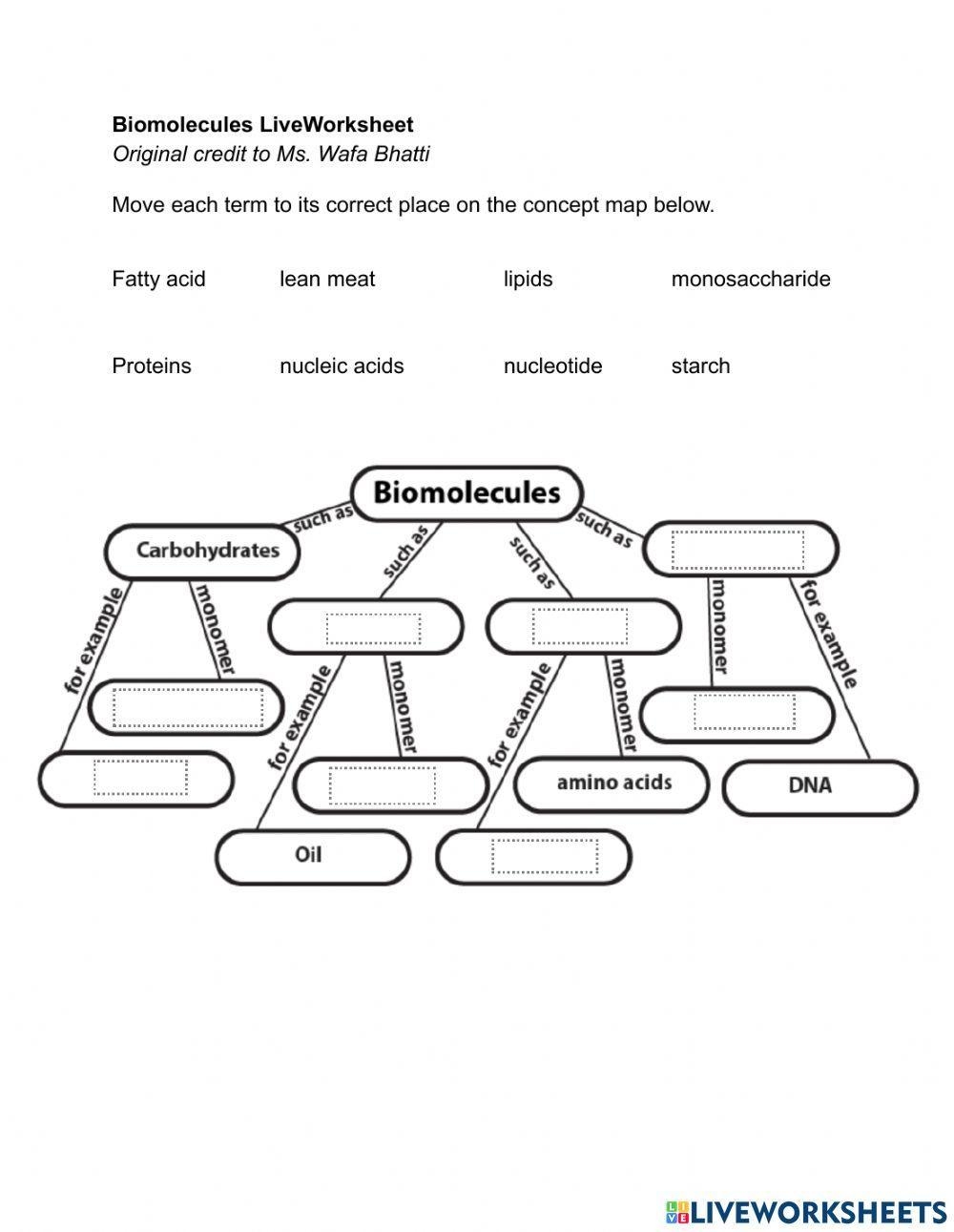 biomolecules worksheet