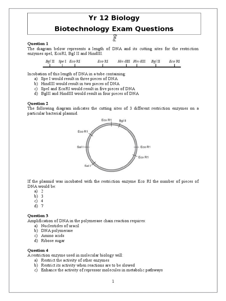 Biotechnology Worksheet PDF Plasmid Dna Worksheets Library