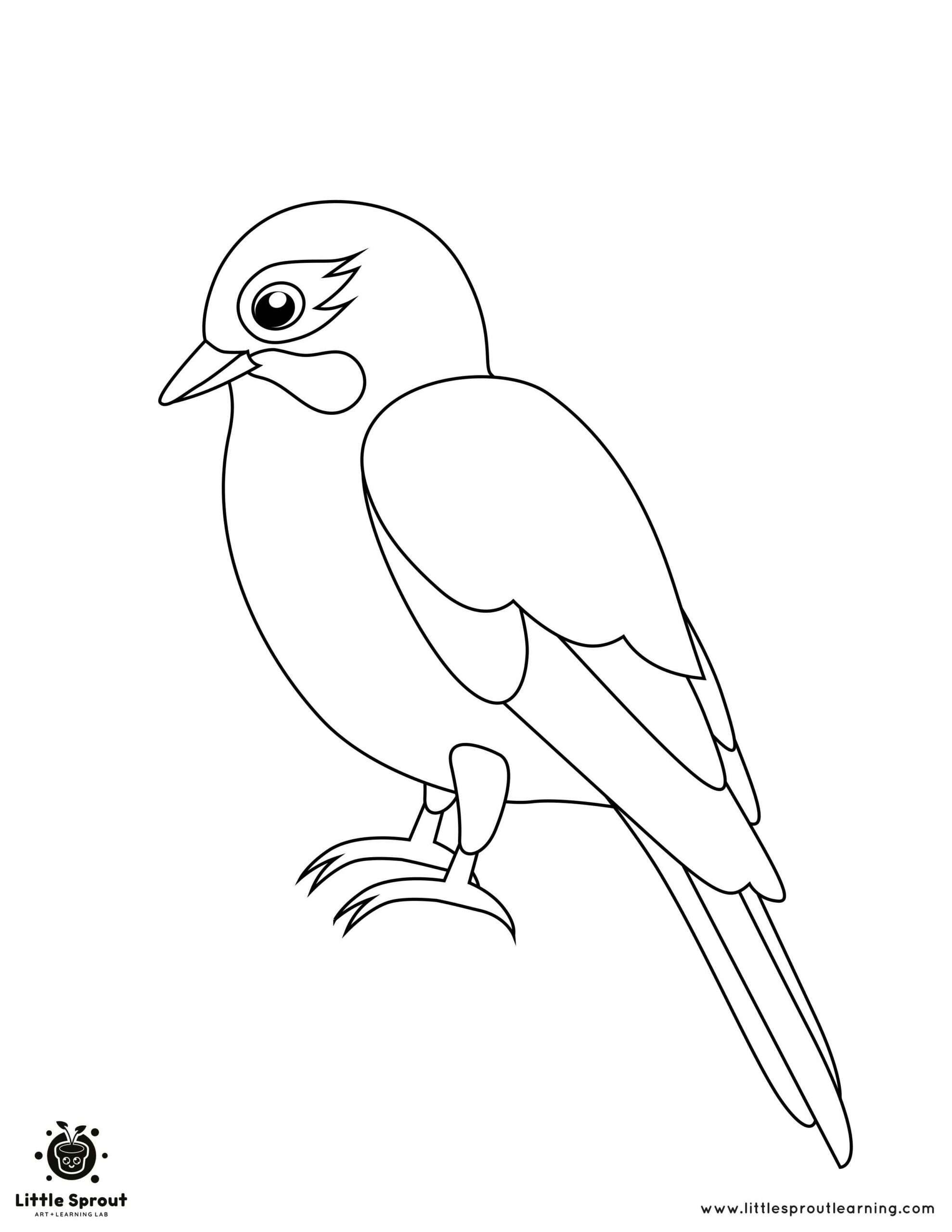 Bird Color Pages Printable Unleash Your Inner Artist And Bring
