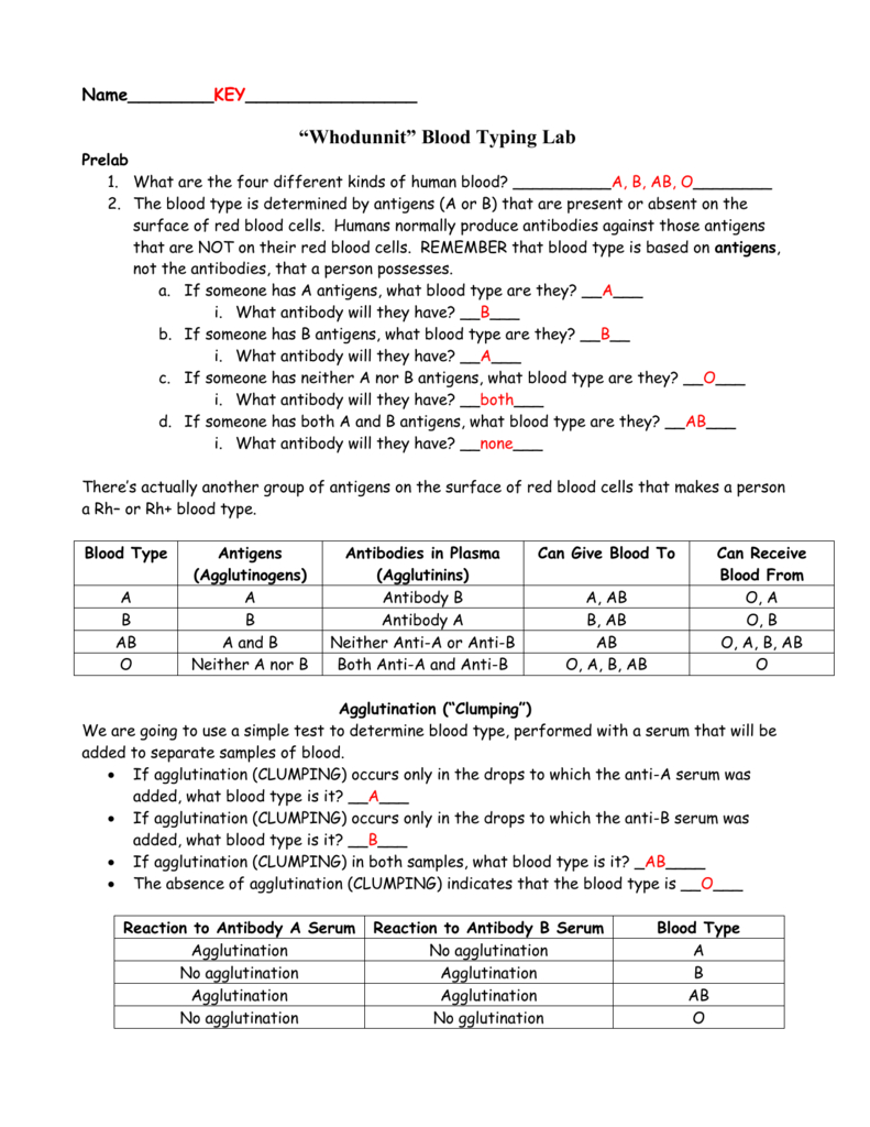 Blood Typing Worksheet