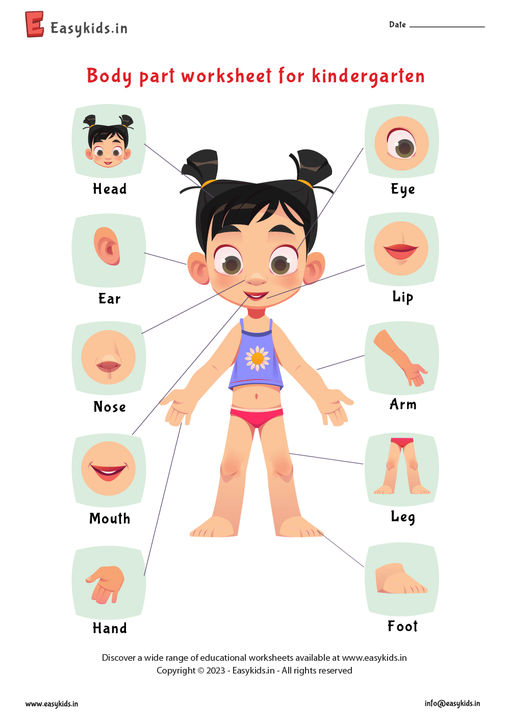 Body Parts Worksheet For Kindergarten EasyKids in