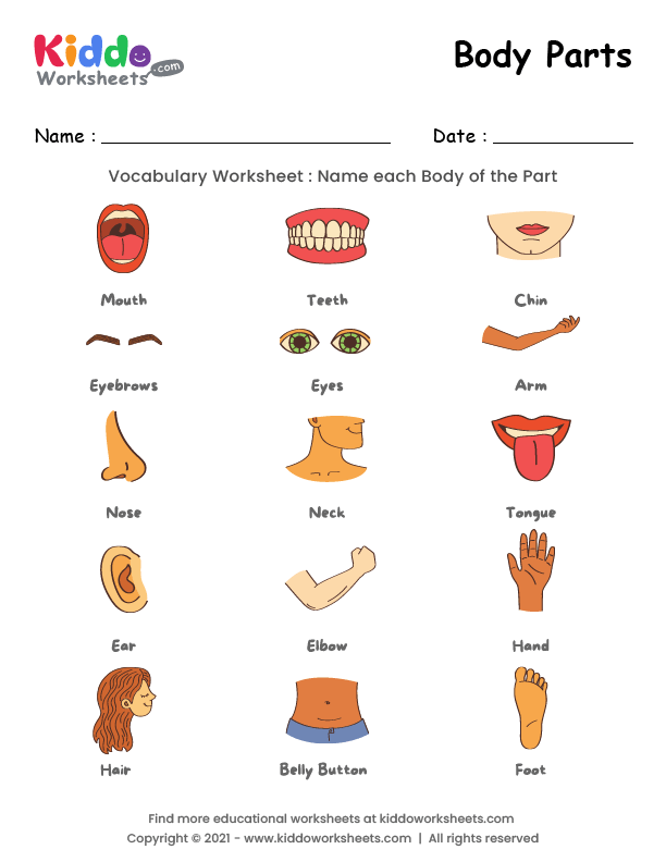 Body Parts Worksheets Kindergarten Printable Kindergarten Worksheets