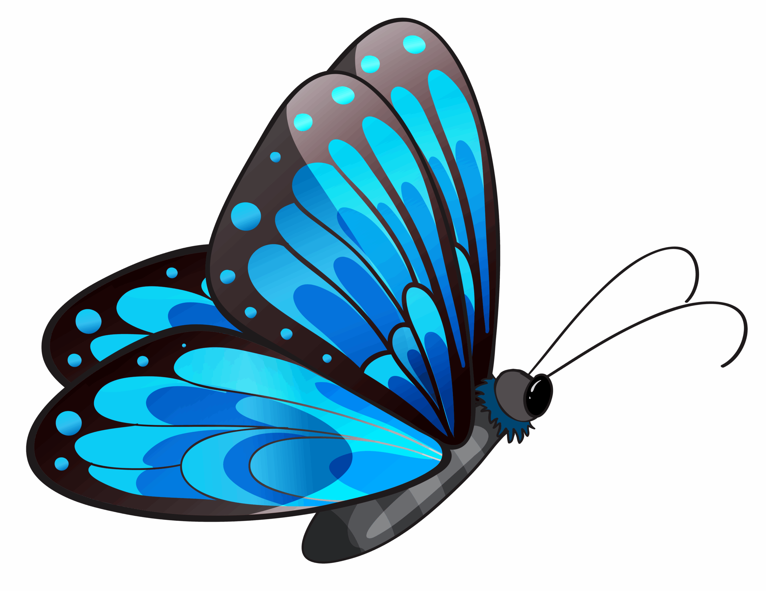 free printable butterfly drawings