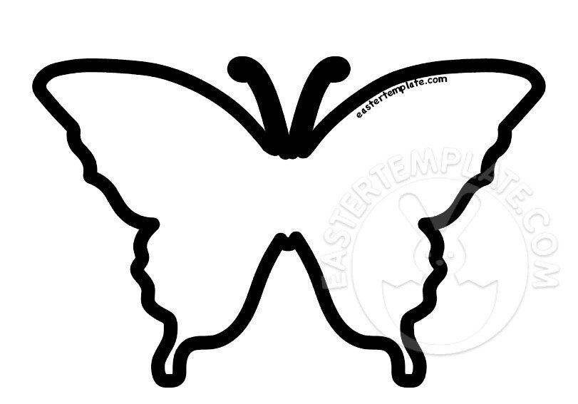 butterfly cartoon template